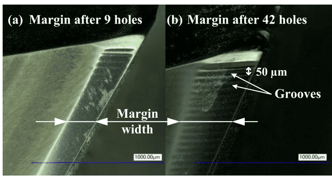 Abrasive wear visible on the margin